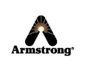 ķ˹ArmstrongyT